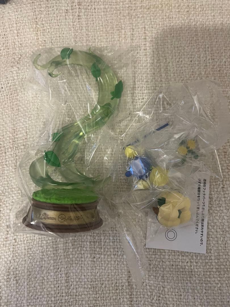 【即日発送】　ゆらめくポケモンのひととき BOX商品 全6種類コンプ