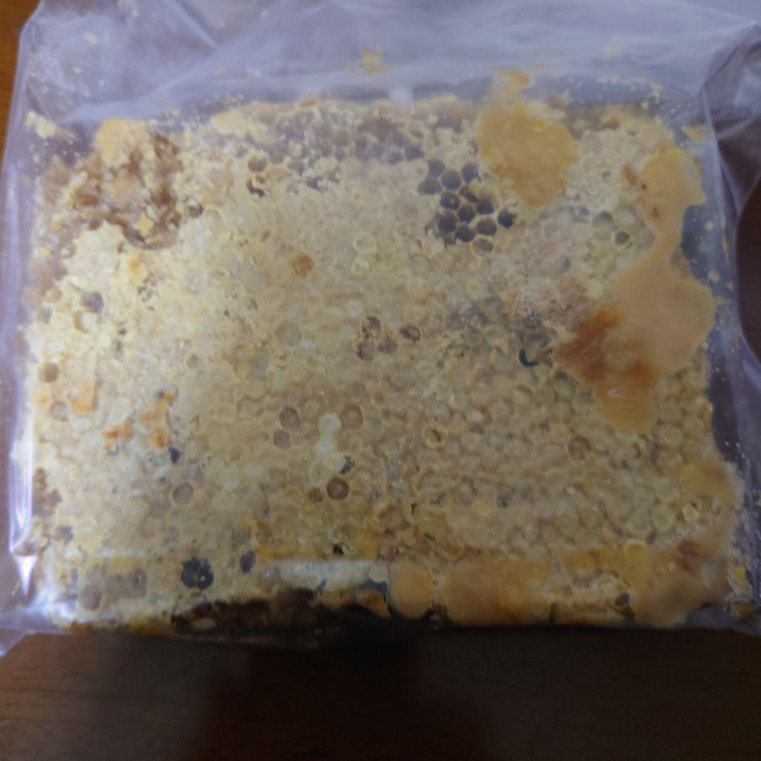 訳あり日本蜜蜂　巣蜜　コムハニー　1200g