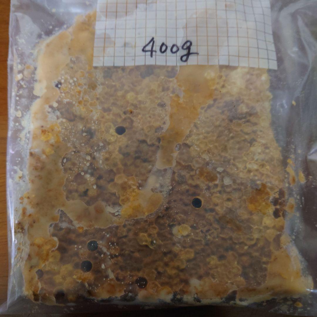 訳あり日本蜜蜂　巣蜜　コムハニー　1200g