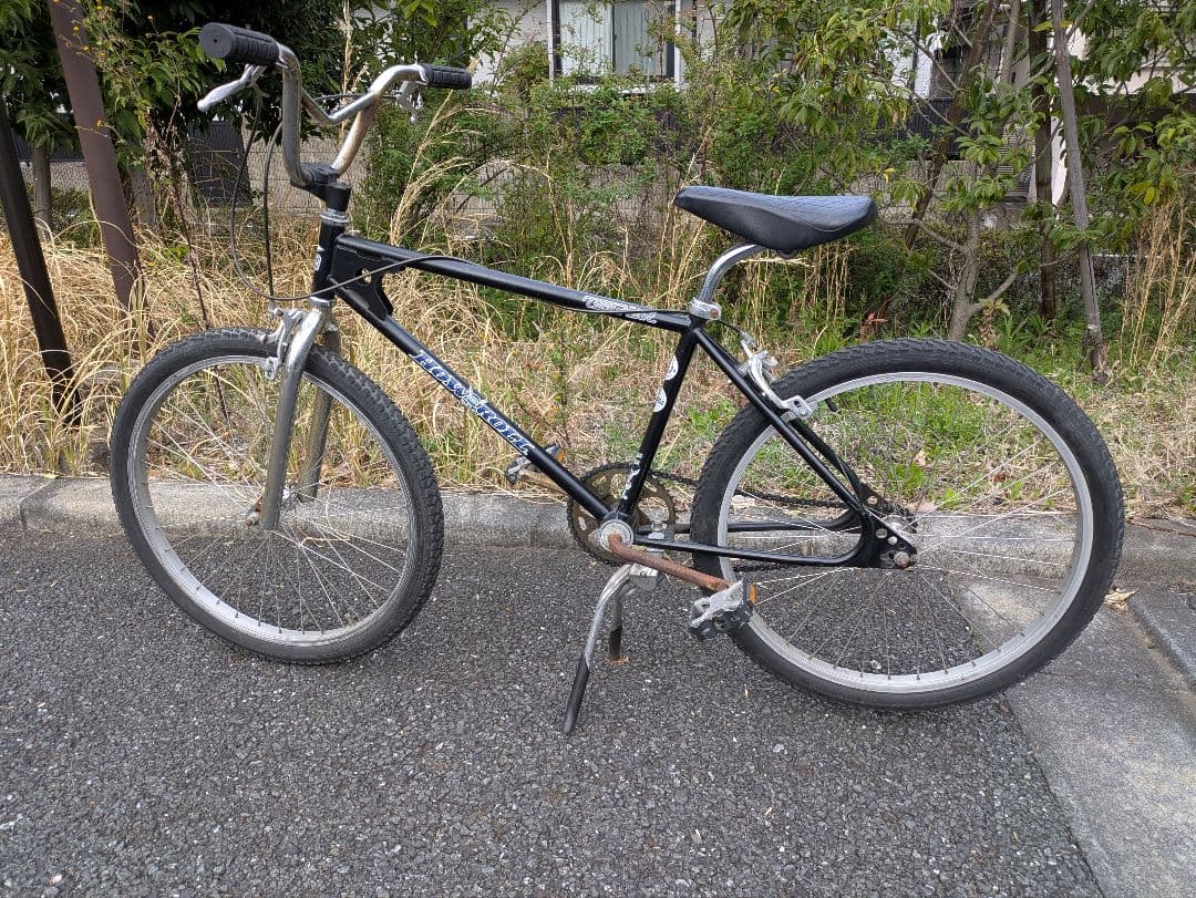 How I Roll T19 24インチ