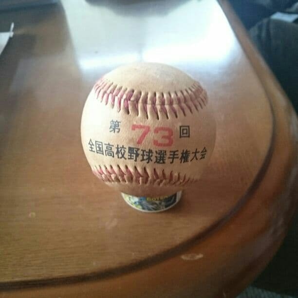 甲子園第73回ボール