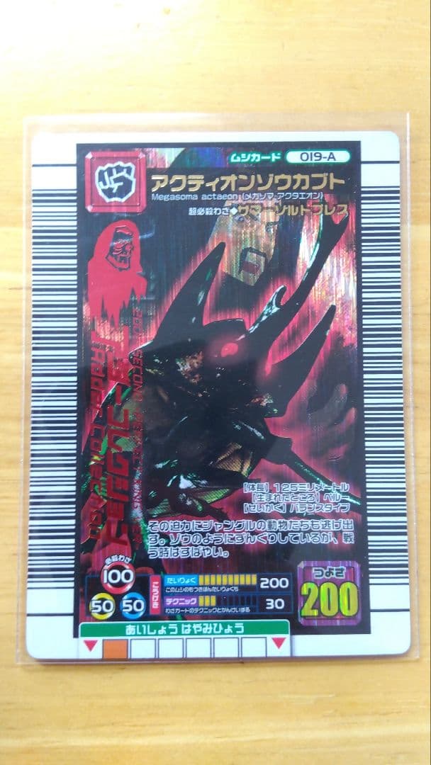 アクティオンゾウカブト　アダーコレクション