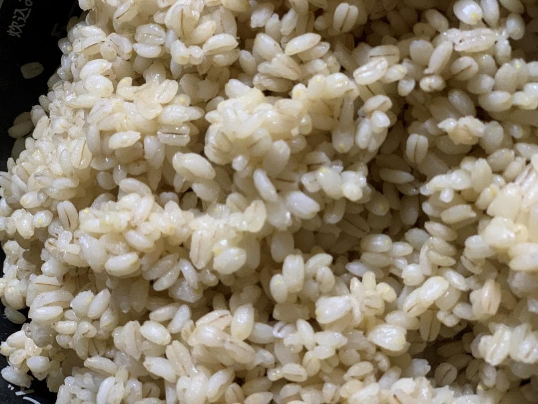 キラリモチ　もち麦　10キロ