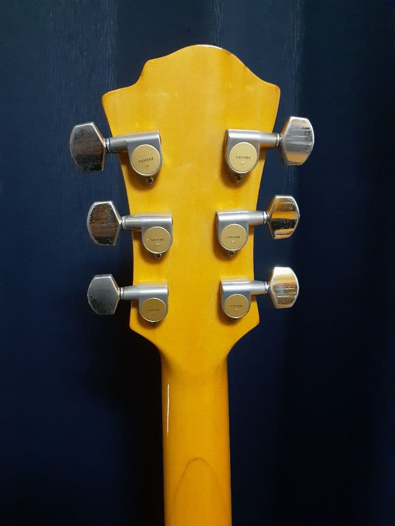 FERNANDES hide MG Burny モッキンバード　ギター