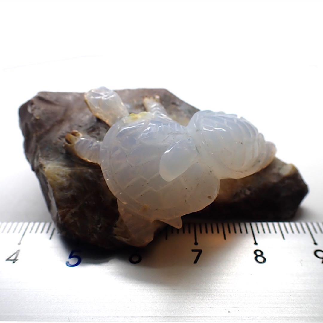 【オーストラリア産】オパールカービング(親子亀モチーフ)