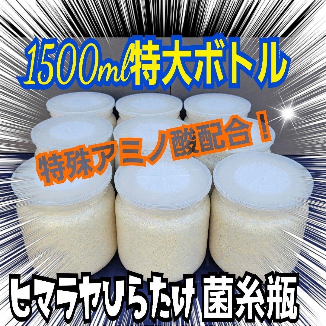 極上！ヒマラヤひらたけ菌糸瓶☆特大1500ml【6本】トレハロース強化配合！