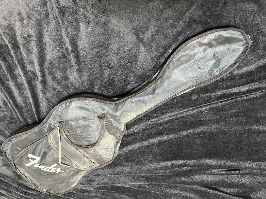 Fender Stratocaster Brad Gillis ジャンク