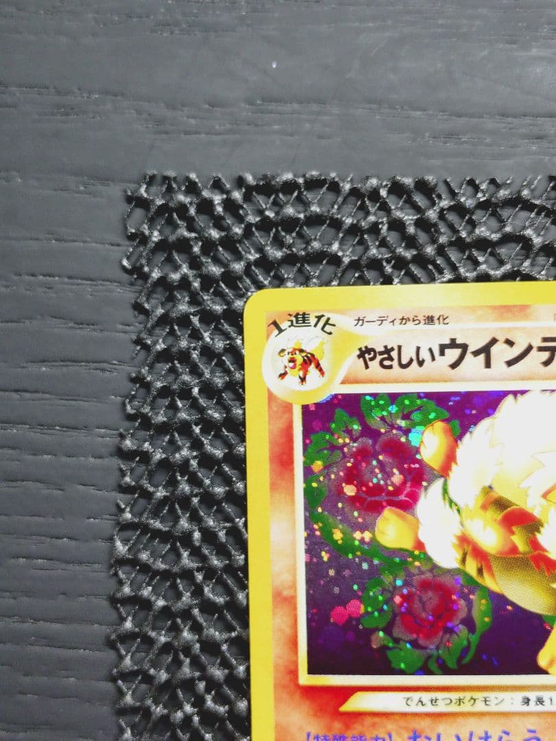 やさしいウインディ ★ 拡張パック第4弾 闇、そして光へ…