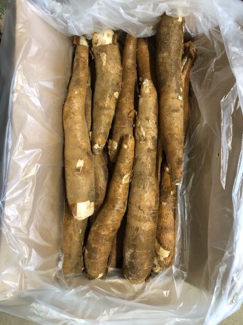 徳之島産キャッサバ生芋イエロー20キロいり