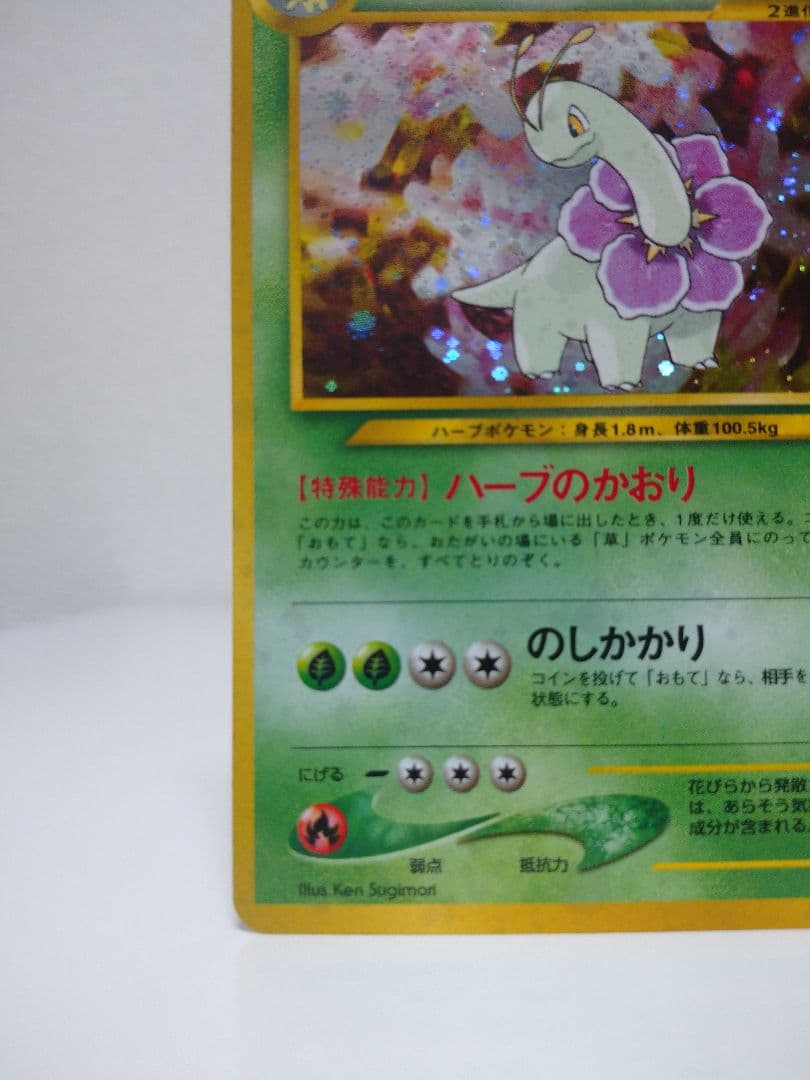 しん  ジョウト御三家3セット メガニウム種 バクフーン種 オーダイル種