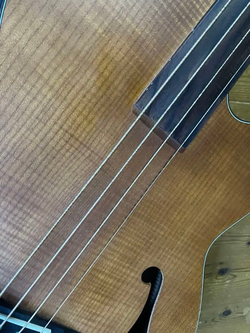 ARIA FEB-FL/FN アコースティックベース