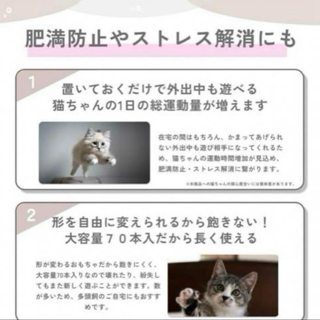 猫 おもちゃ 玩具 一人遊び 子猫 キャット 運動 自動 グッズ 遊び道具