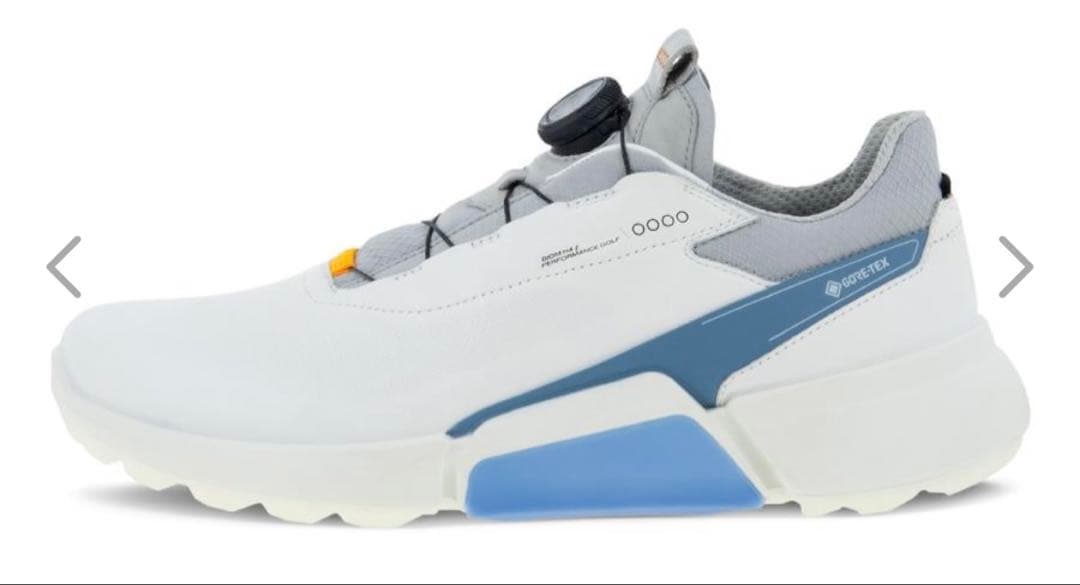 ecco ゴルフシューズ メンズ 39(24.5)