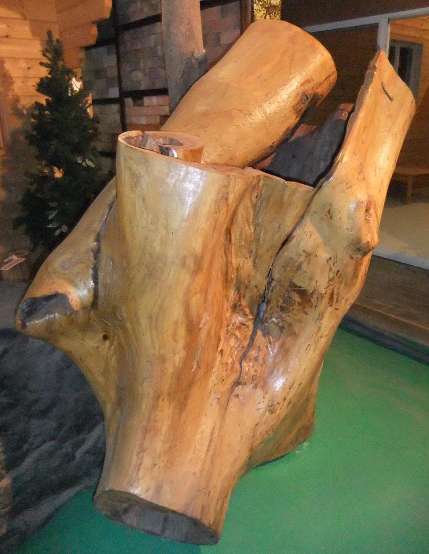 【稀少レア１点物】巨木★巨大樹木★自然派ナチュラル系、生け花【展示品★送料別】