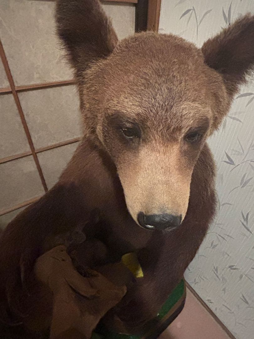 クマの剥製（約110cm）