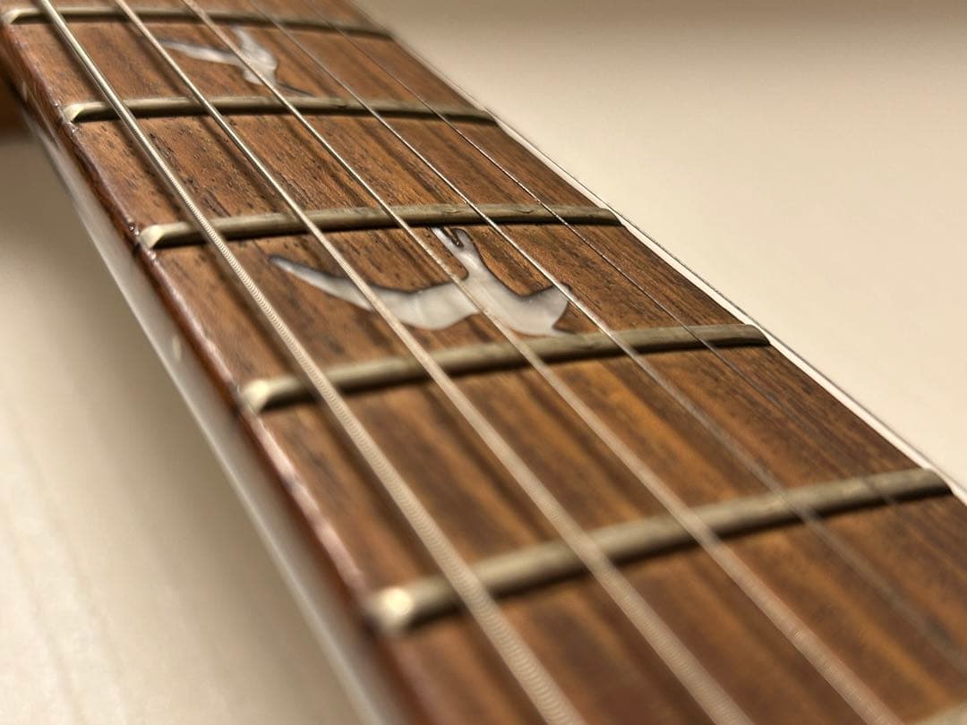 ギター PRS guitar SE custom