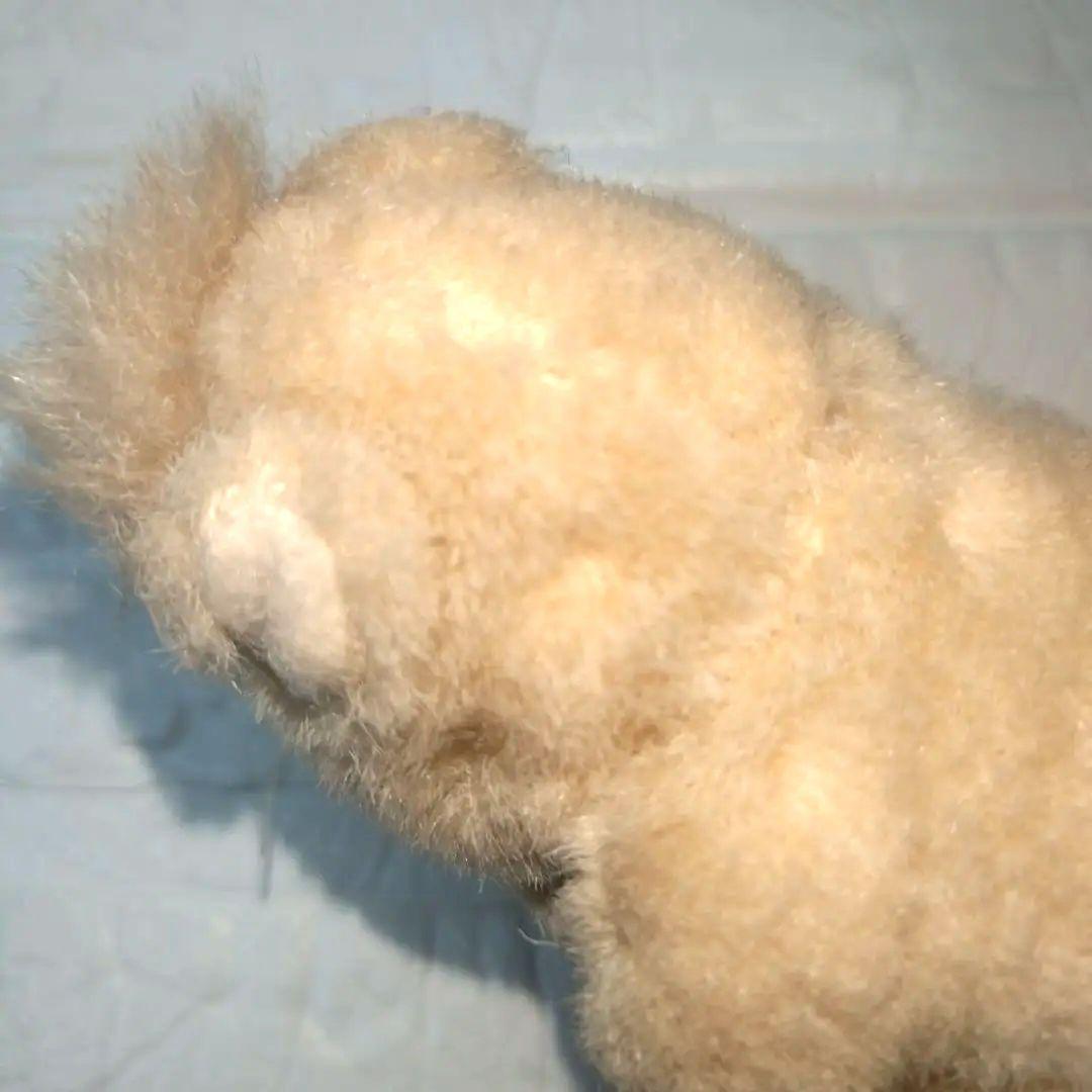 り*ほ様 ミニペットクラブ わたしのハムスター　ハムスター　オコジョ　平成レトロ