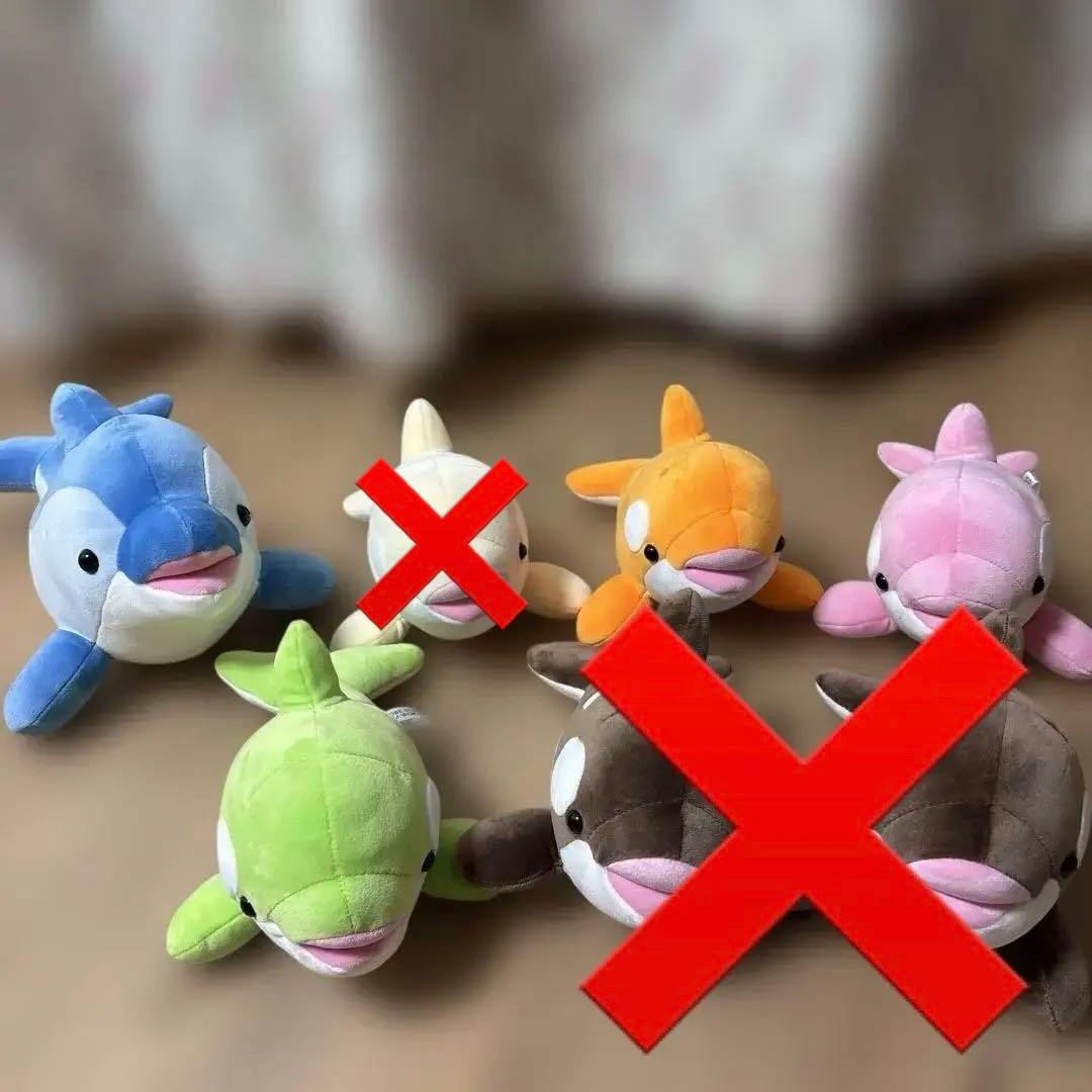 須磨シーワールド オルカくじ イルカくじ