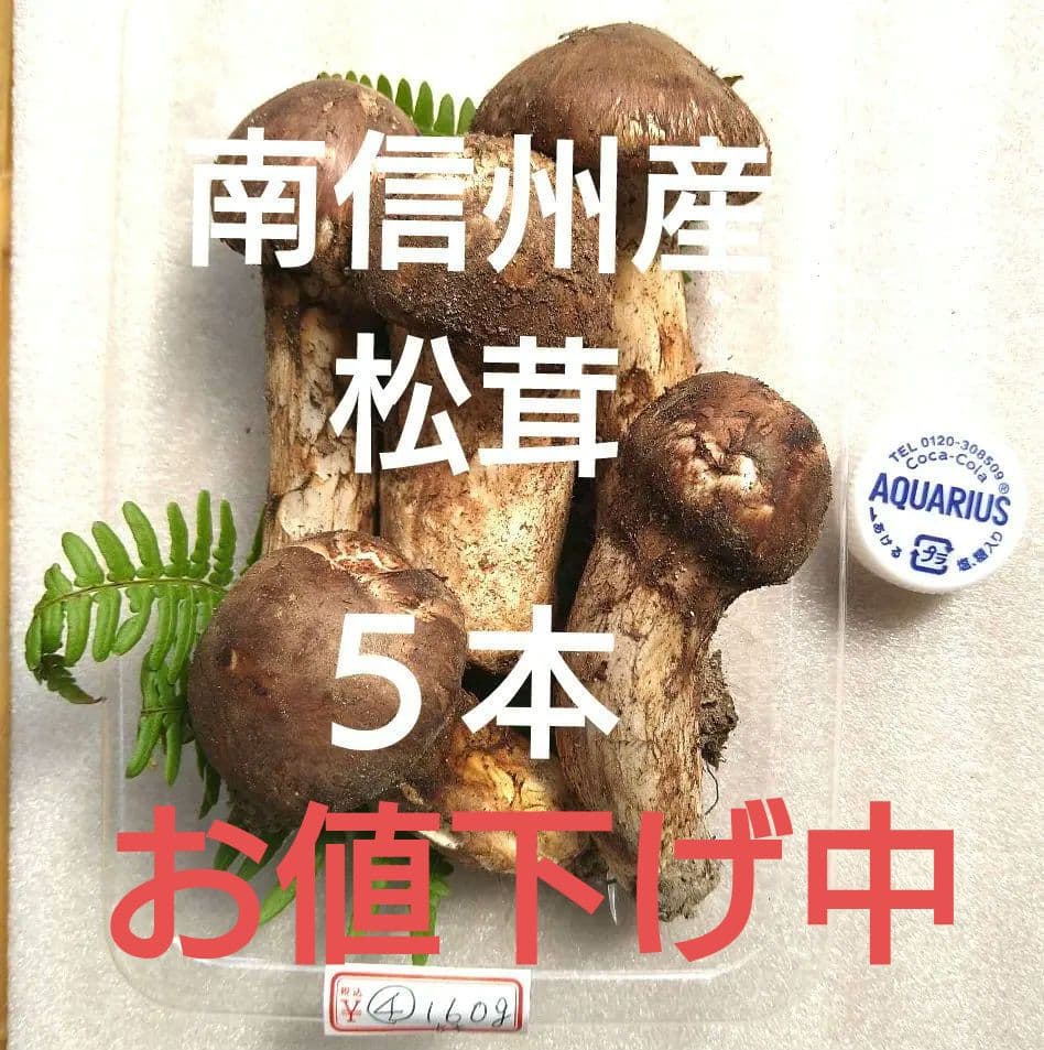 南信州産松茸160g（パック込み）