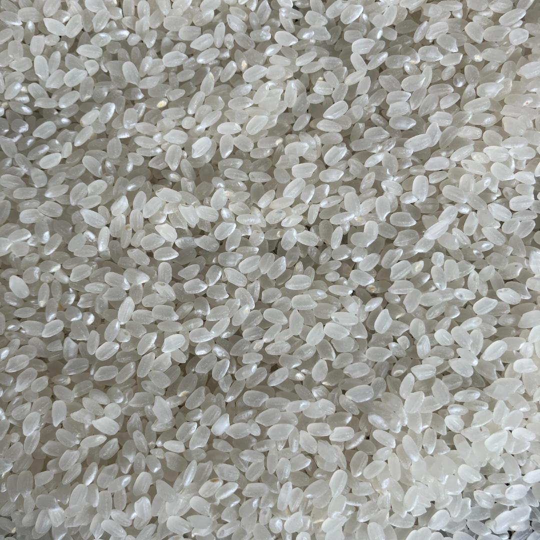 魚沼産コシヒカリ　令和7年産　白米　10キロ　米農家直送②