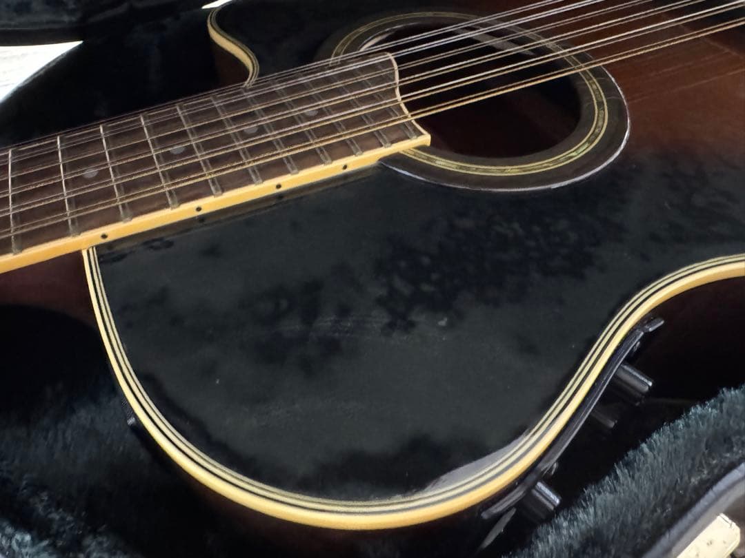 【レア】ヤマハ90年代ビンテージ12弦エレアコ APX-8-12A+ケース