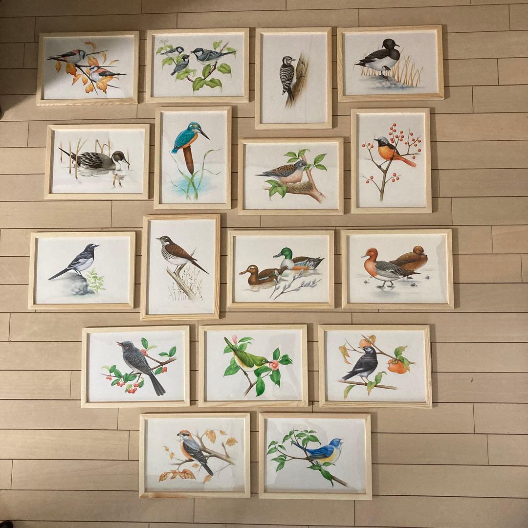 希少 野鳥 絵画 イラスト 原画 セット ウッド フレーム 新品 額装