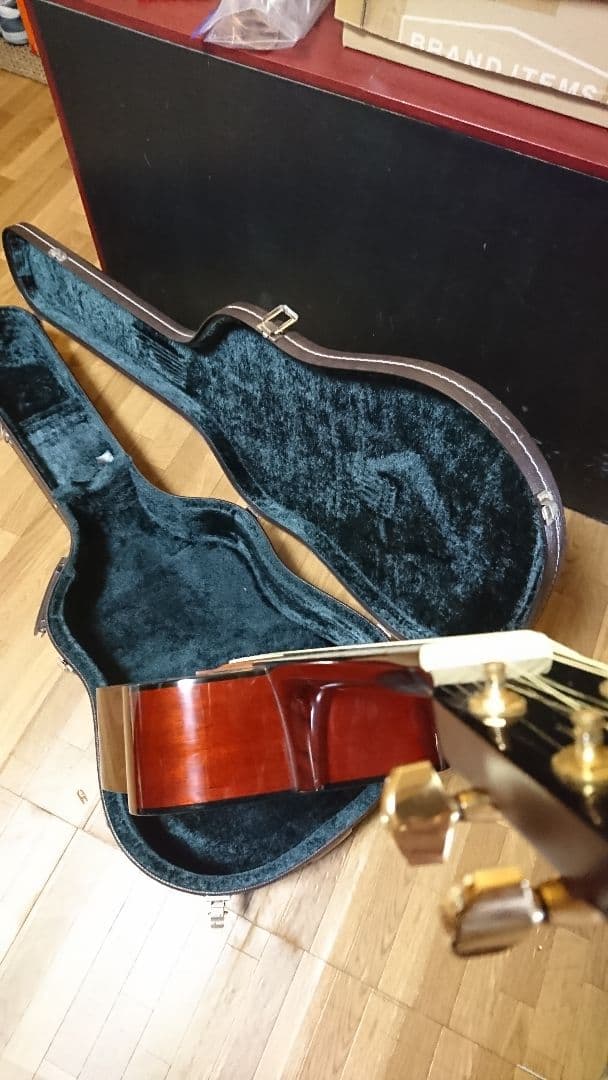 矢入　ヤイリ　yairi RAY-601