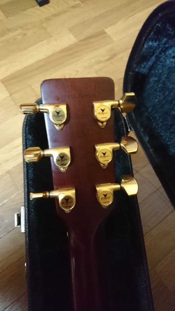 矢入　ヤイリ　yairi RAY-601