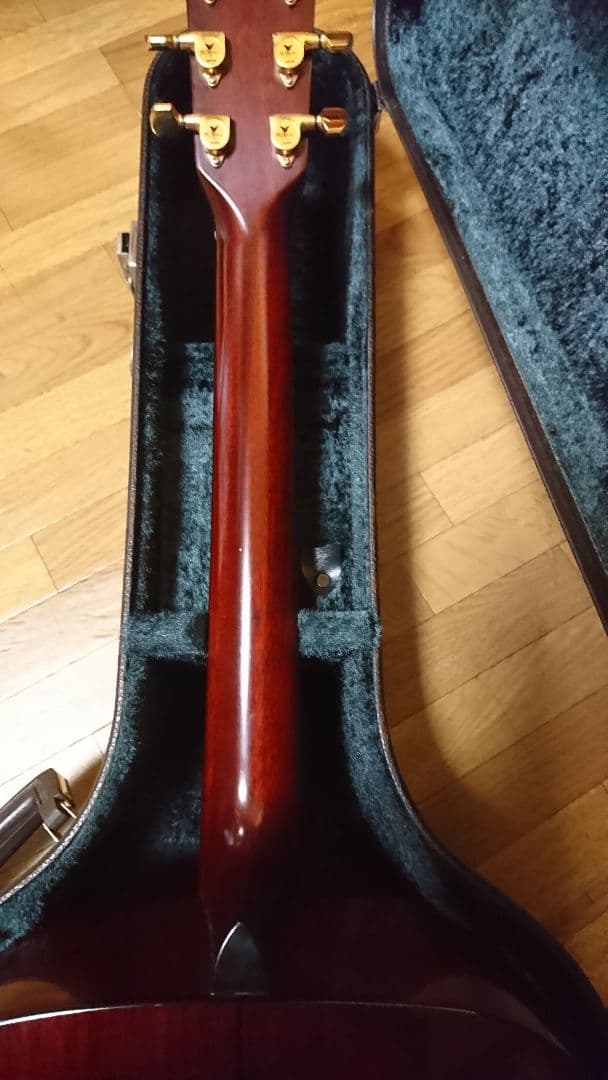 矢入　ヤイリ　yairi RAY-601