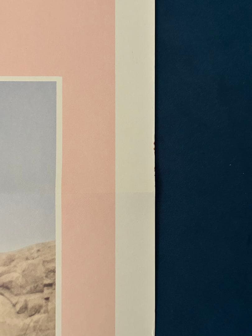 ディヴァイン・マッドネス　USオリジナル映画ポスター