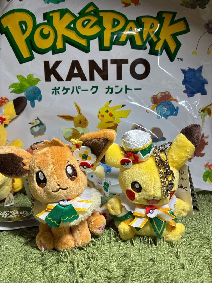 ポケパーク ピカチュウ イーブイ ぬいぐるみセット