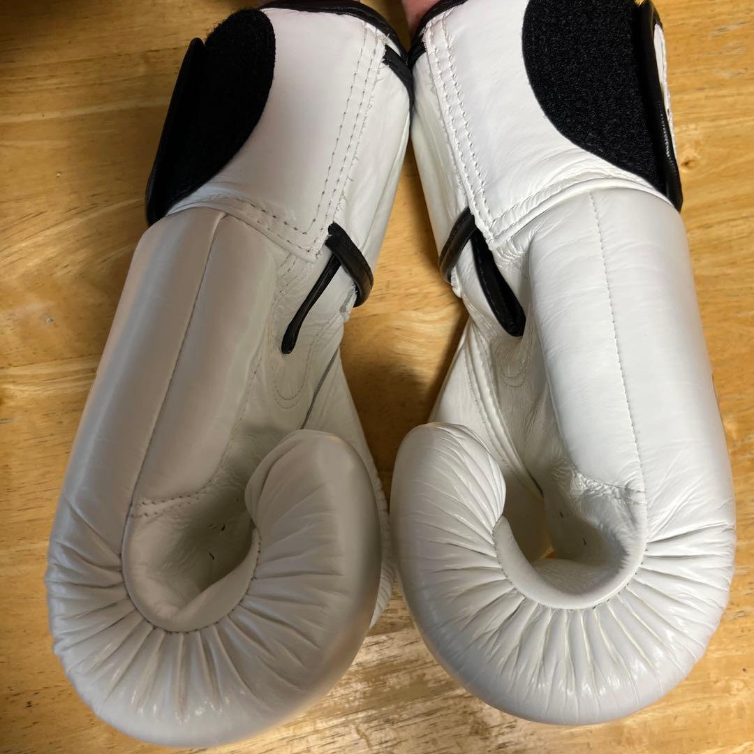 Fairtex ボクシンググローブ 8オンス　BGV-1