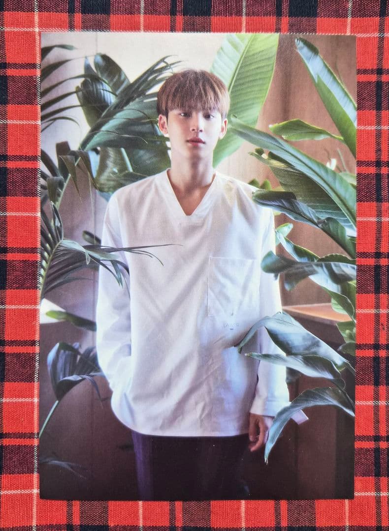 SEVENTEEN セブチ ミンギュ ポストカード TSUTAYA特典