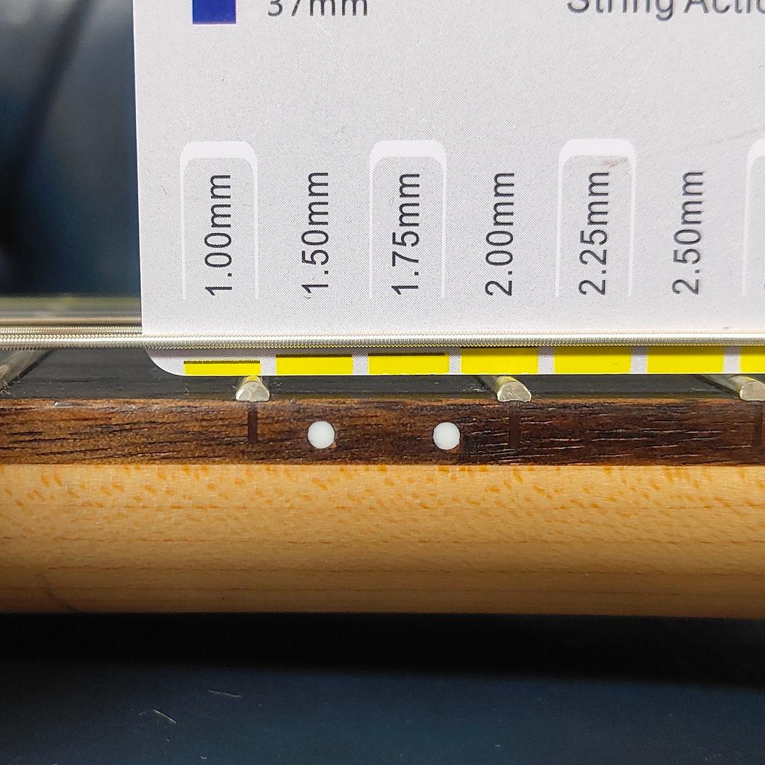 Traveler Guitar Ultra-Light トラベル用 ケース付き