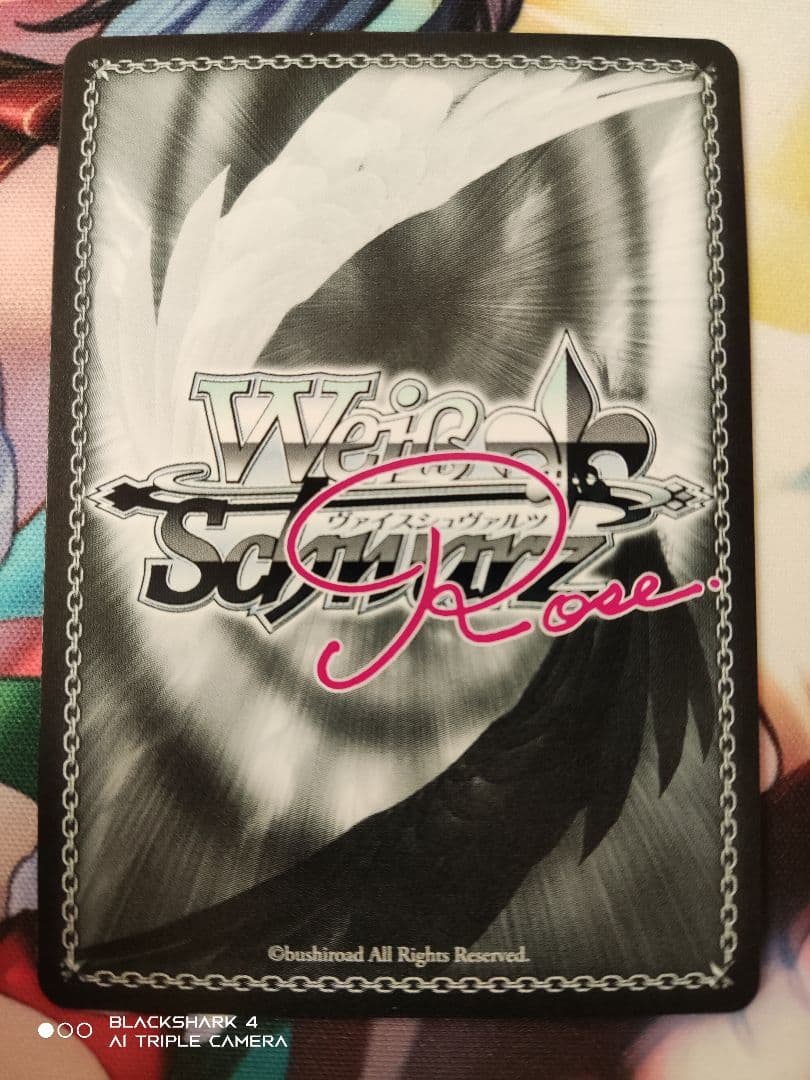 明日朝まで ゼルゼルSSP エルマSP セット 異種族レビュアーズ ヴァイスロゼ