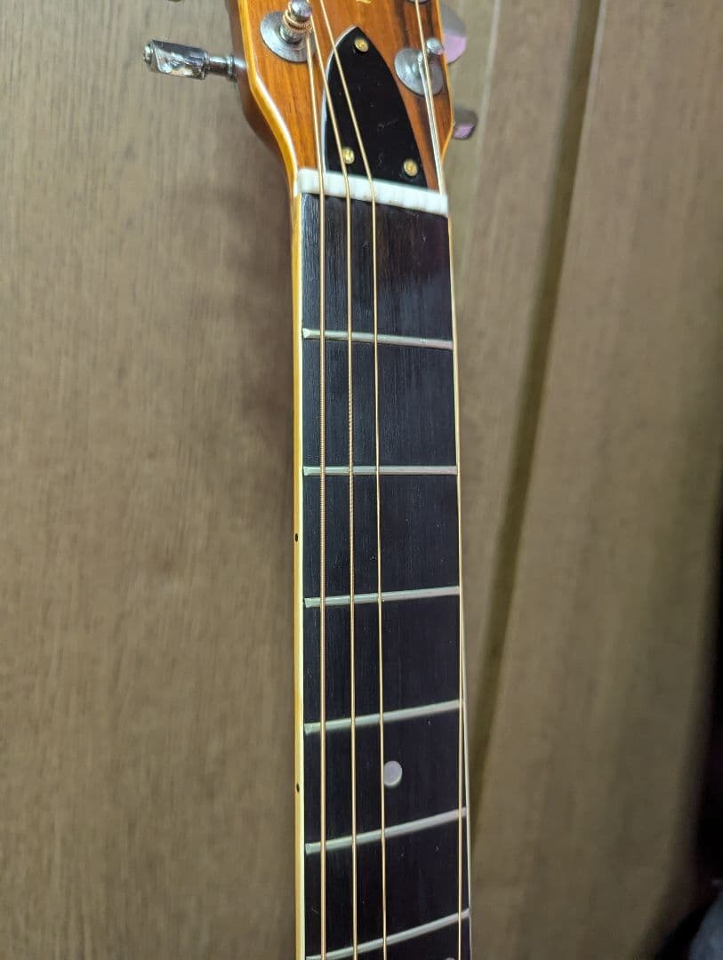 ♪Aria W-350・ハカランダ・トップ単板?♪