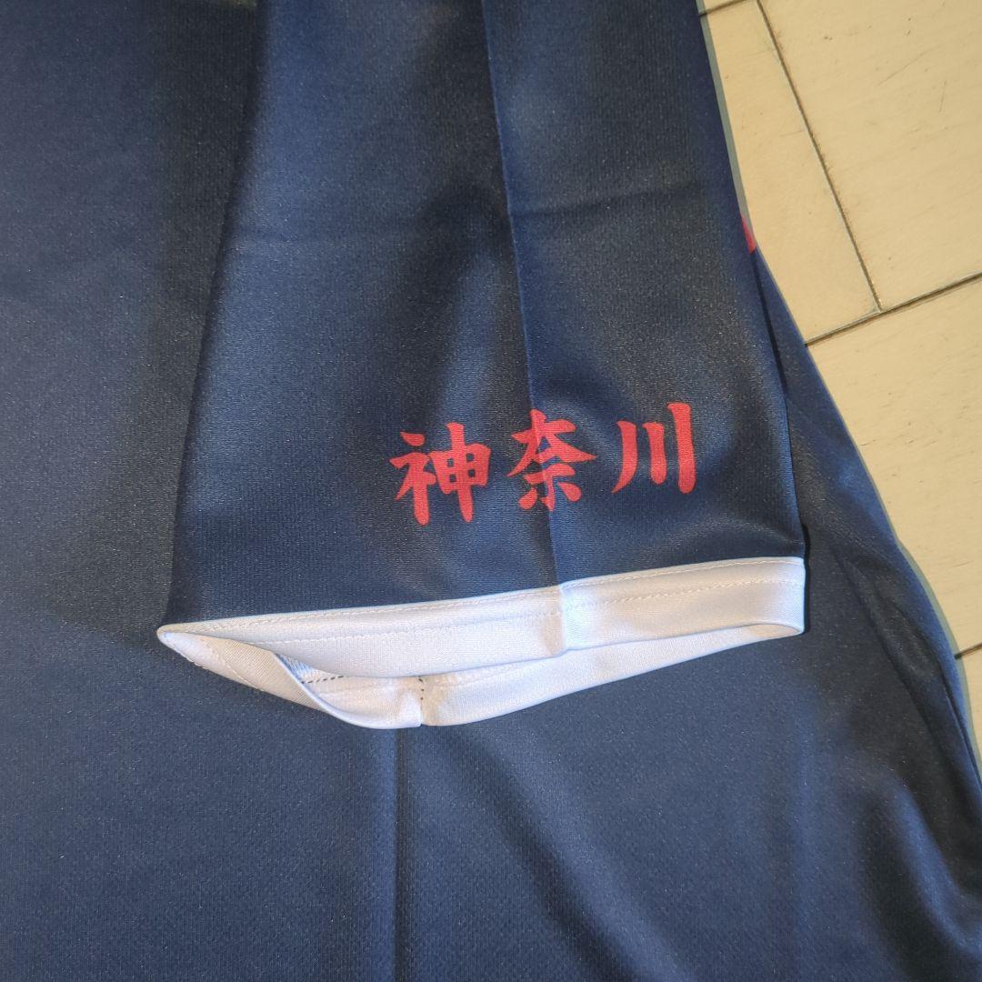 激レア 駿台学園 慶應義塾 バレーボール 春高 国体 インターハイ 天皇杯 限定