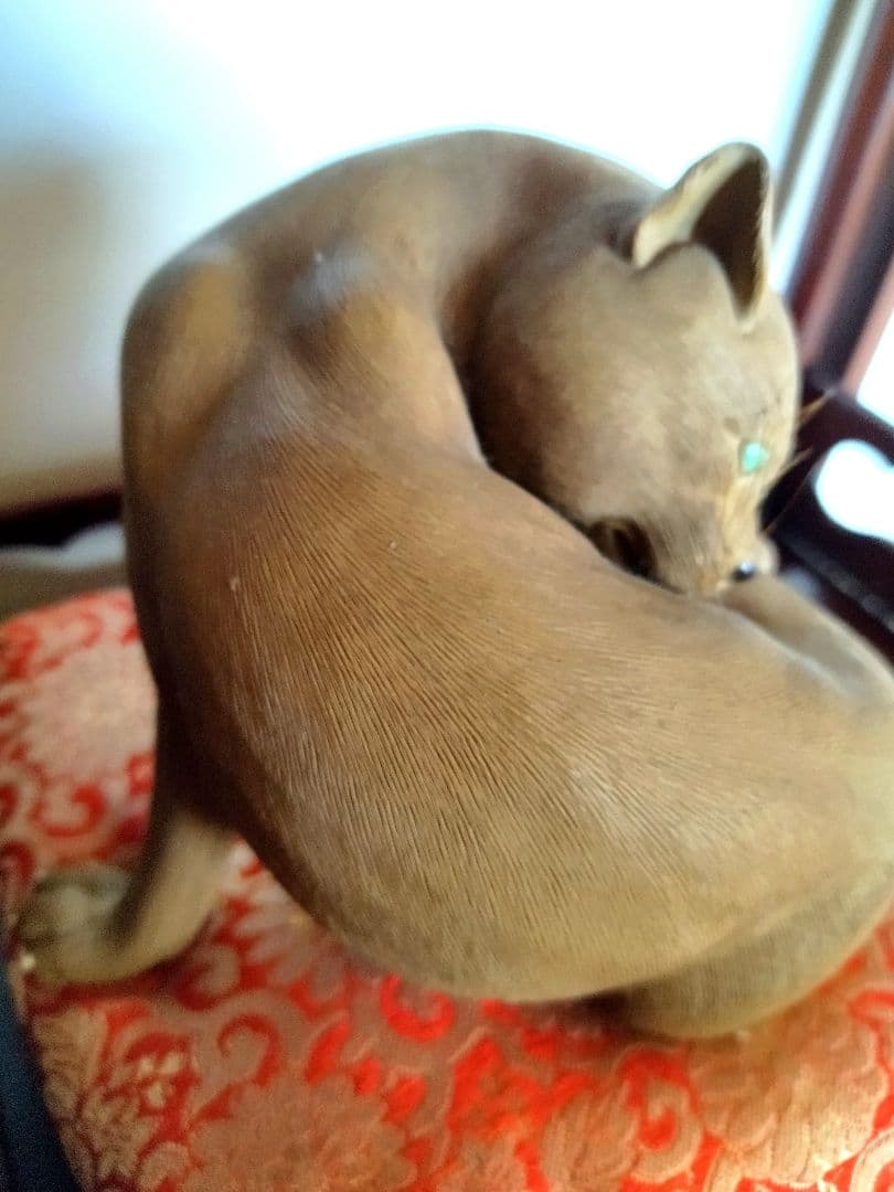 萬古焼　美術品　猫の毛づくろい