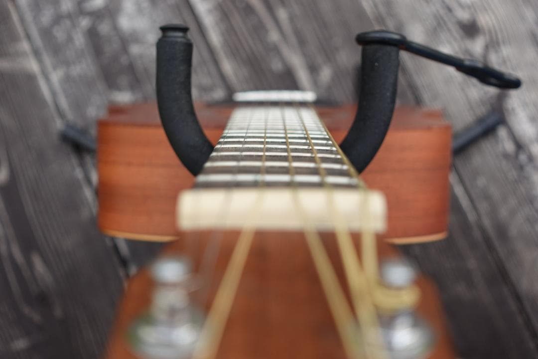 Baby Taylor Mahogany (BT2)とRITTERのギグバッグ