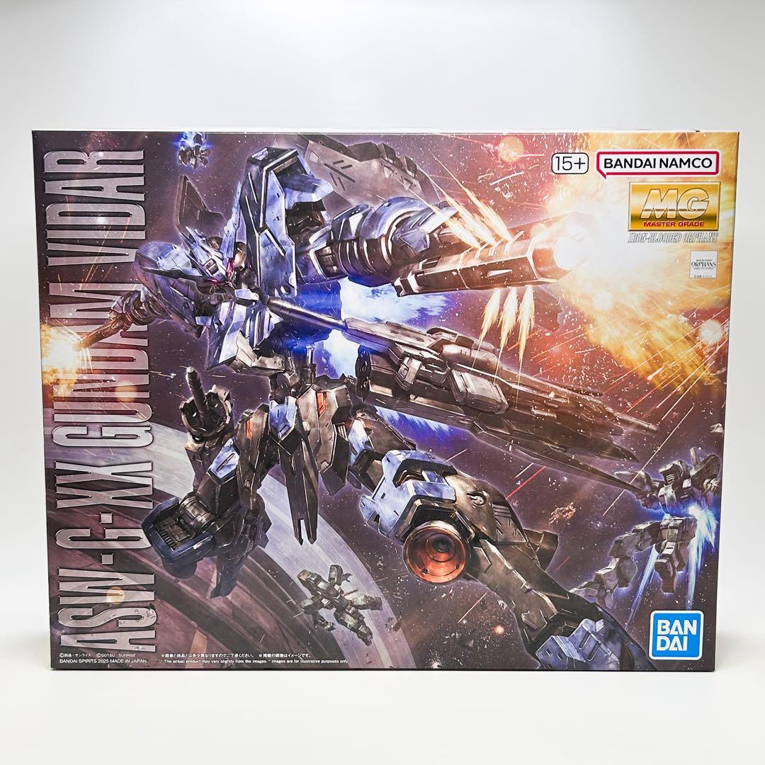 MG 1/100ガンダムヴィダール