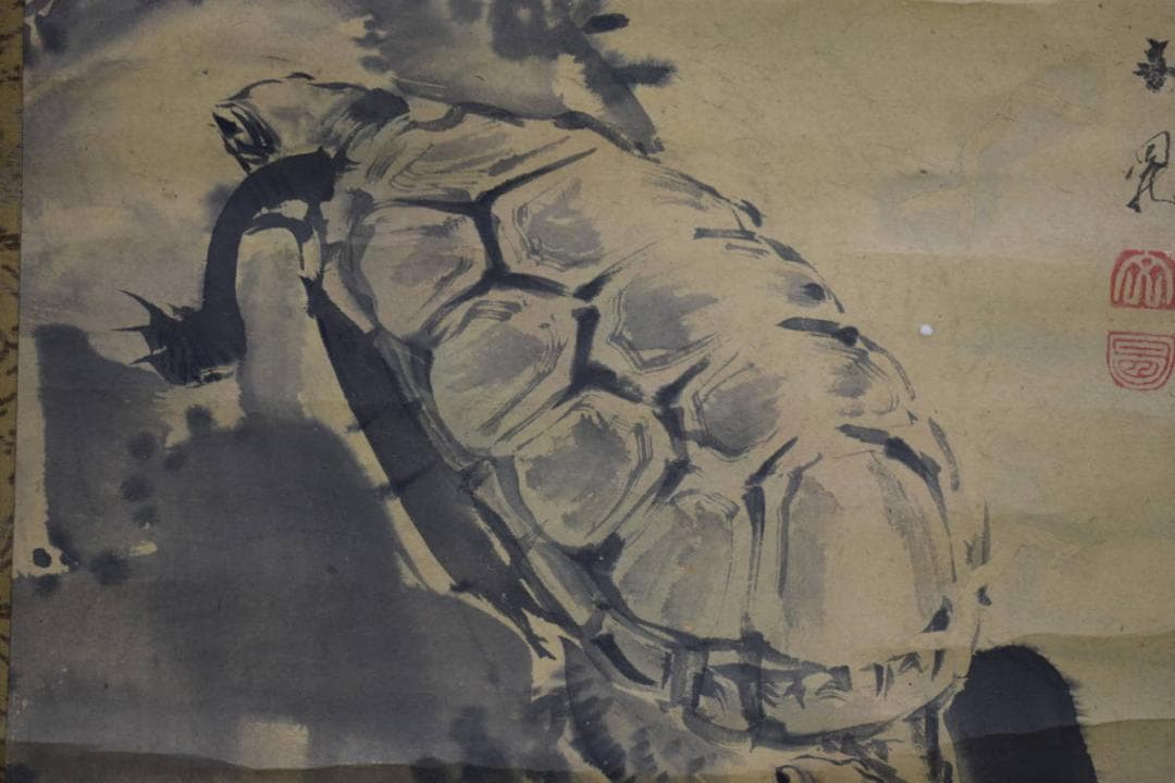 模写/谷文晁/亀図/絹表装/布袋屋掛軸HF-612