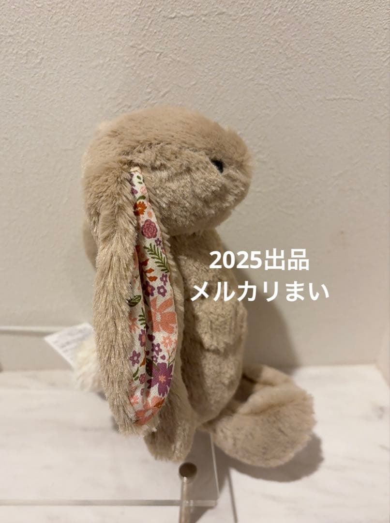  Blossom Beige Bunny 'Petal' （S）