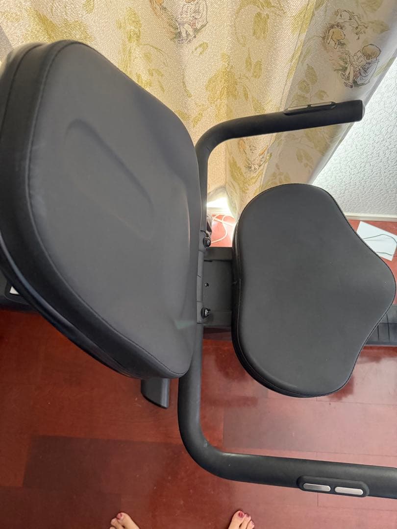 (Lfashio ) Horizonリカンベントバイク 5.0 R