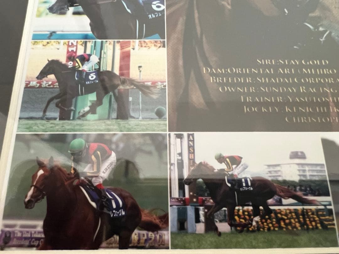 ☆競馬☆　ORFEVRE　オルフェーヴル　三冠馬　 記念パネル　池添謙一騎手