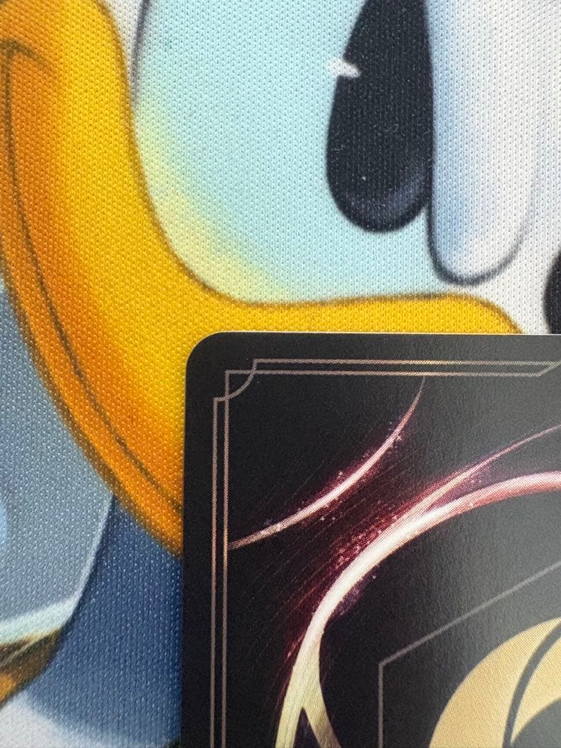 ロルカナ　エルサ　冬の精霊　エンチャンテッド