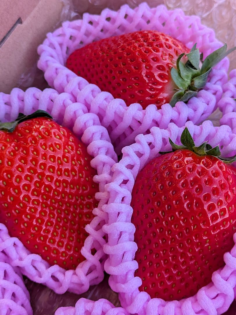 Wines' K♡12日発送♡かおり野⑥♡