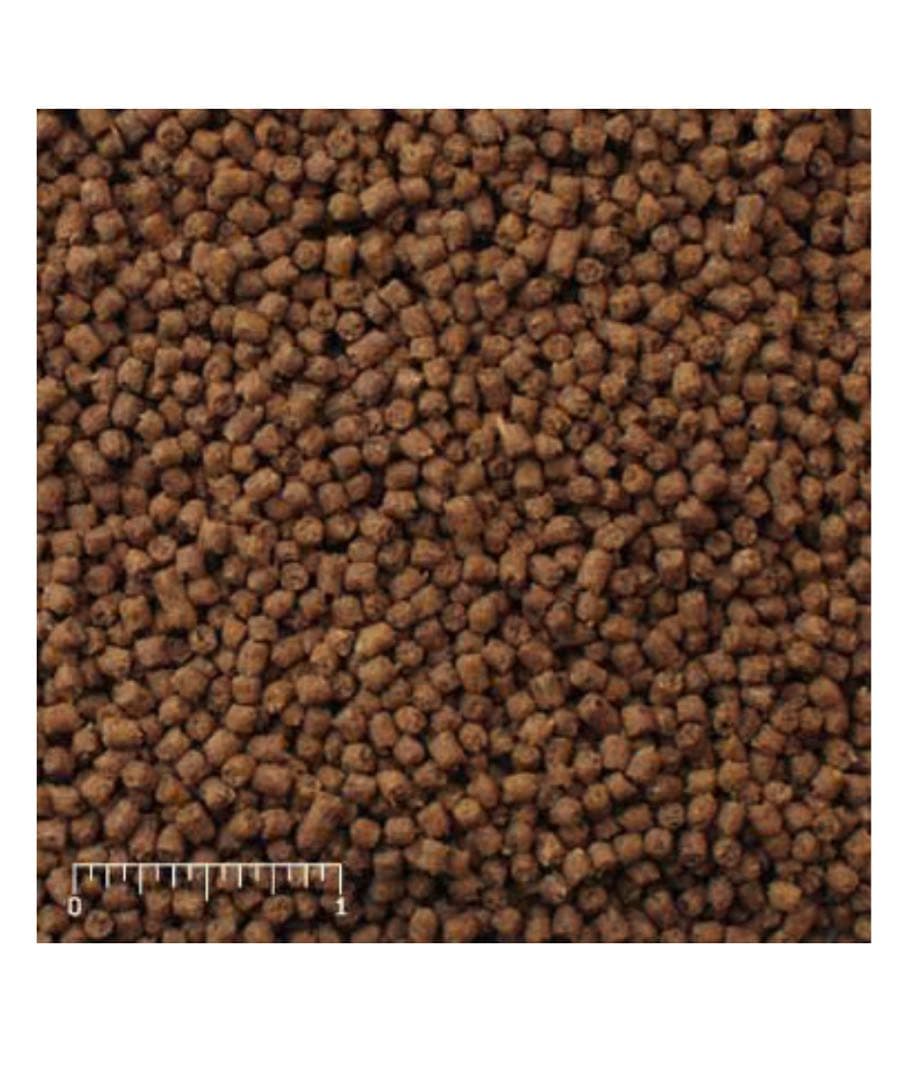 Mazuri インセクティボア ダイエットフード