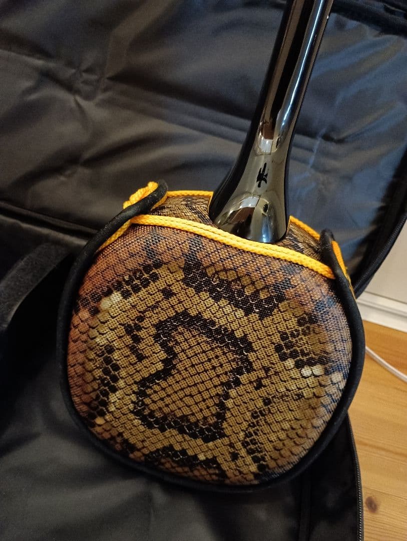 三線沖縄初心者フルセットケースBEGIN三線曲集付き