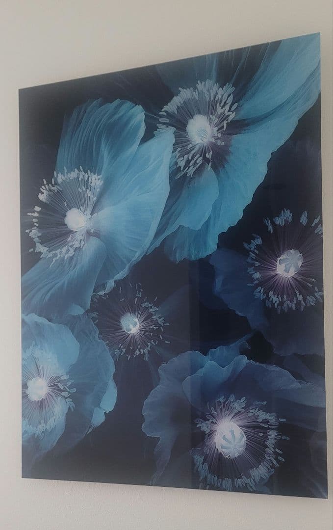 Yellow Korner　Fleurs De Pavot　60×80