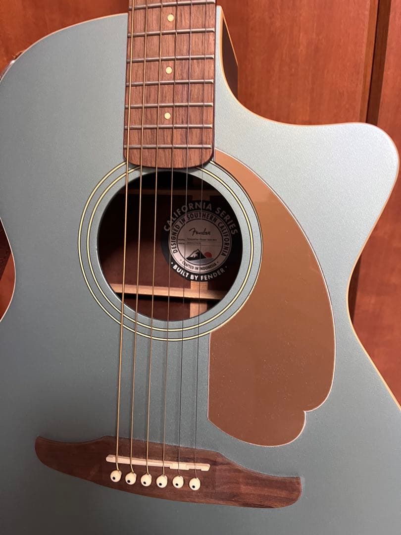 Fender NewporterアコースティックギターTidepool